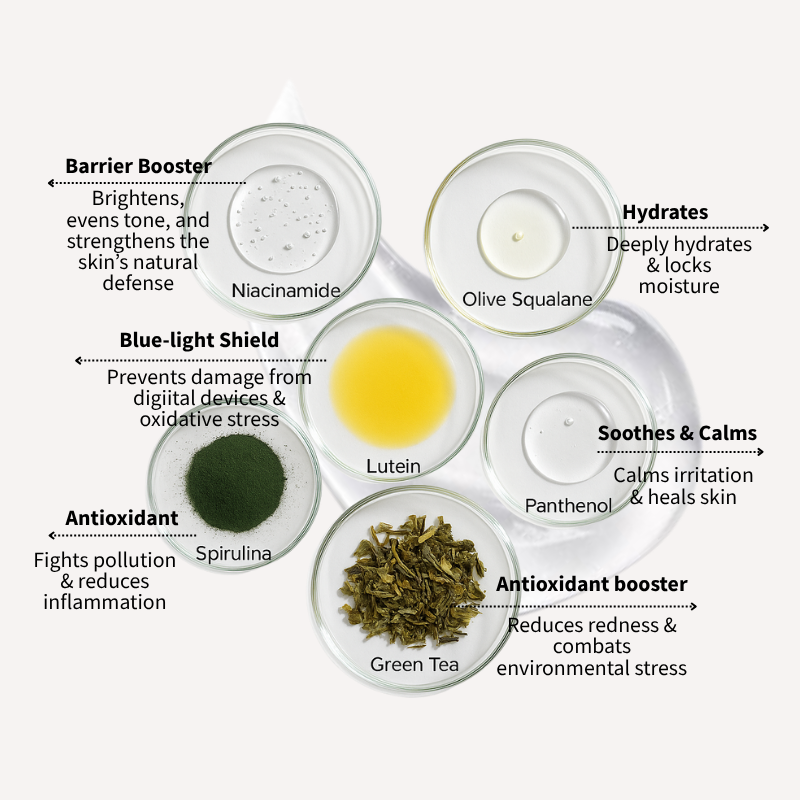 Diagram of Ultradefence SPF50 PA++++ sunscreen skincare ingredients with labels on a white background
